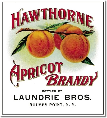 Apricot Brandy - Hawthorne poster